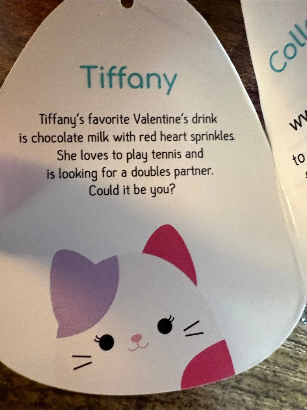 NWT—Tiffany Squishmallows White Pink Plush Cat (Small)